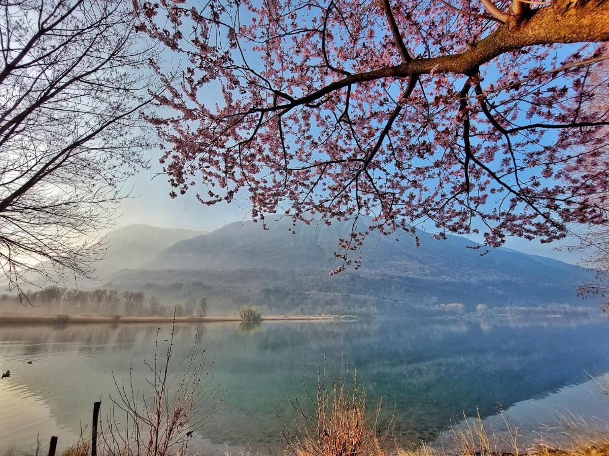 Villaggio Turistico Il Lago Dorato Carlazzo Eksteriør bilde