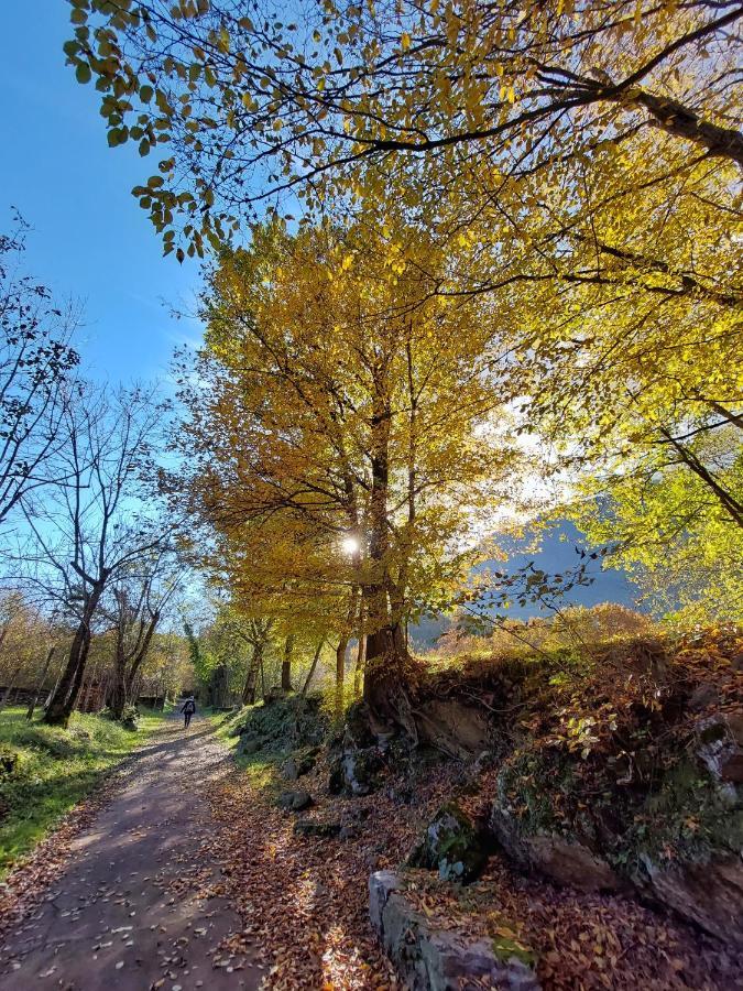 Villaggio Turistico Il Lago Dorato Carlazzo Eksteriør bilde